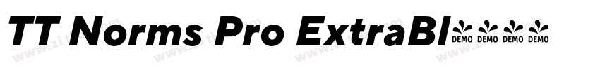 TT Norms Pro ExtraBl字体转换